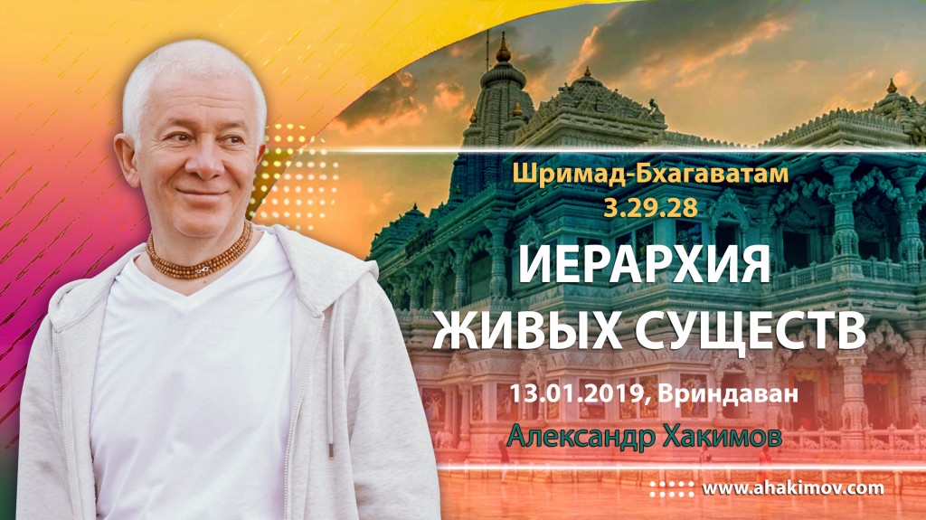 2019.01.13, Вриндаван, Шримад Бхагаватам 3.29.28, Иерархия живых существ