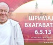 Шримад-Бхагаватам 6.5.13