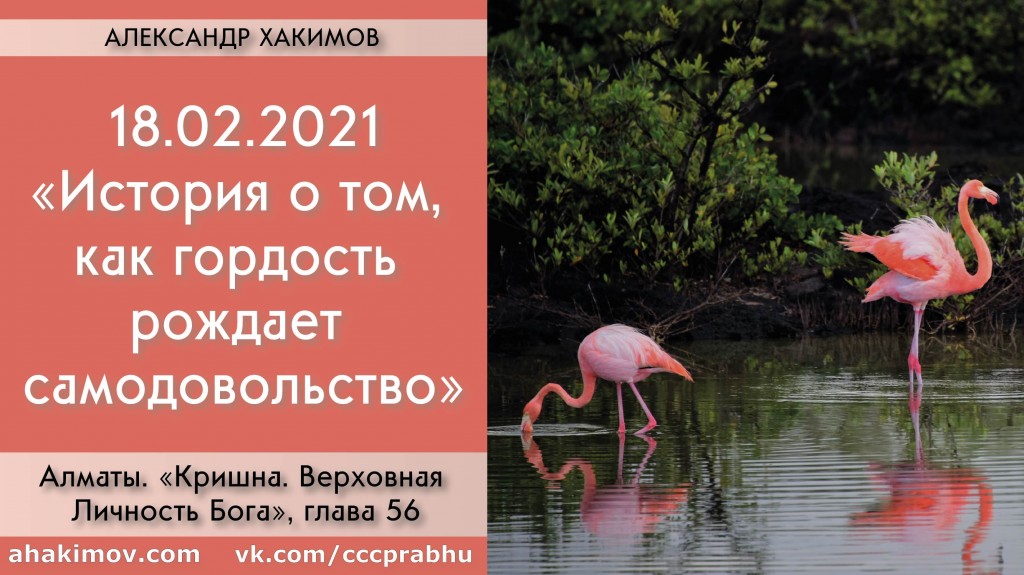 Добавлена лекция "История о том, как гордость рождает самодовольство" по книге "Кришна. Верховная Личность Бога", глава 56, которая состоялась в Алматы 18 февраля 2021 года