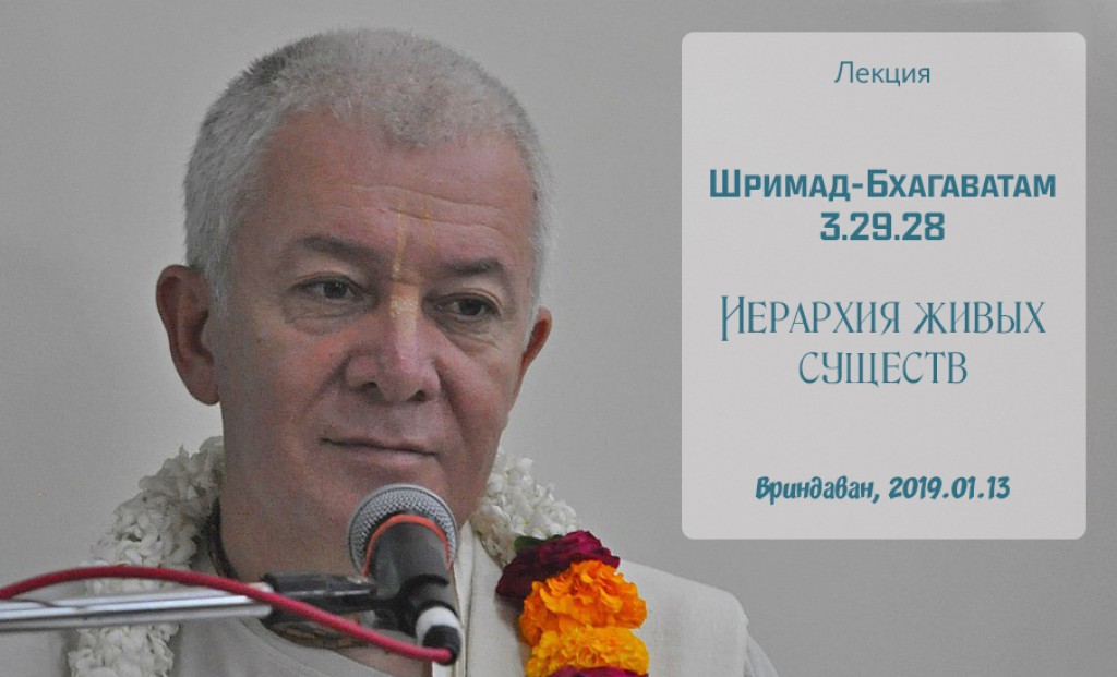 Добавлена лекция "Иерархия живых существ" по книге "Шримад Бхагаватам" песнь 3 глава 29 стих 28, которая состоялась во Вриндаване 13 января 2019 года