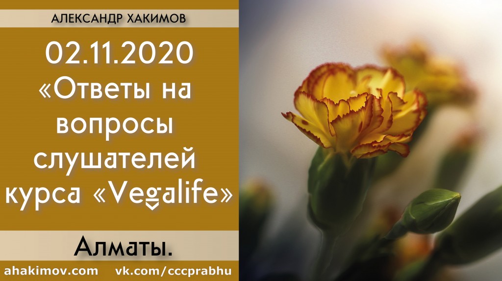 Добавлены ответы на вопросы слушателей курса «Vegalife», которые состоялись 2 ноября 2020 года