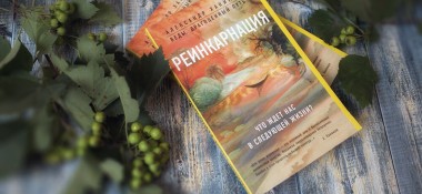 О книге «Реинкарнация. Размышления»