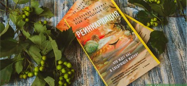 О книге "Реинкарнация. Размышления"