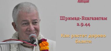 Добавлена лекция "Как растет дерево бхакти" по книге "Шримад-Бхагаватам" песнь 2 глава 9 стих 44, прочитанная 18 ноября 2018 года во Вриндаване