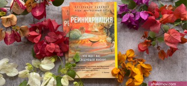 О книге "Реинкарнация. Размышления"